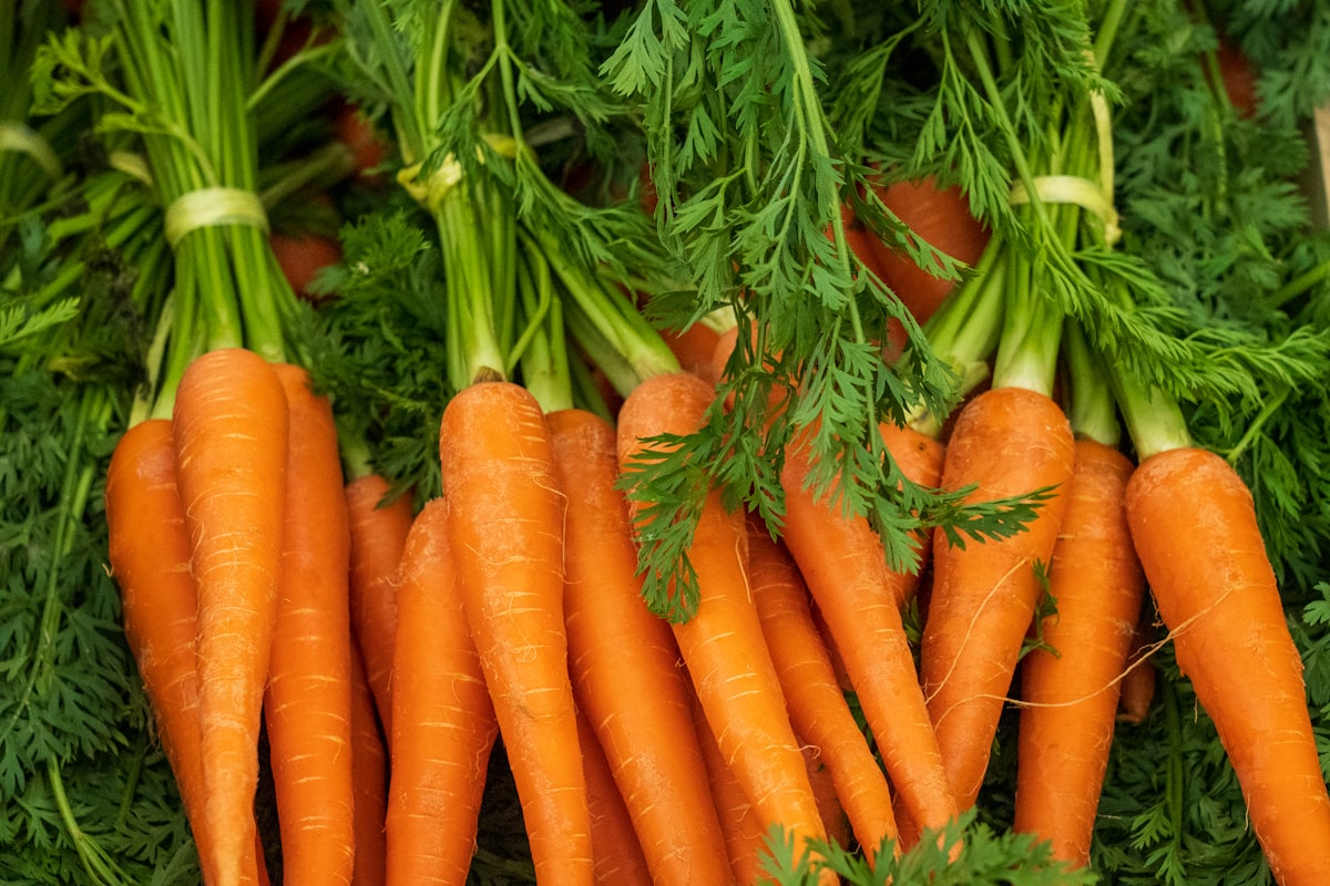 Préparation de repas sains et équilibrés